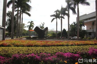 厦门植物园带娃旅游攻略