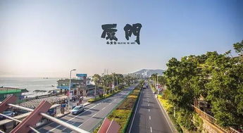 丽水去厦门旅游攻略五天