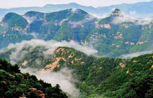 沂蒙山旅游攻略厦门探店