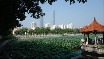 厦门七月分旅游攻略