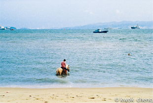 厦门夏天旅游攻略5月份