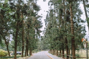 厦门植物园周边旅游攻略