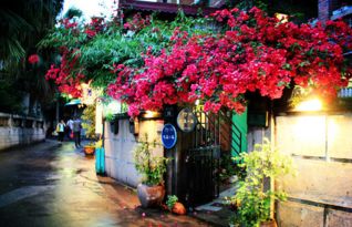 5月份旅游厦门攻略路线