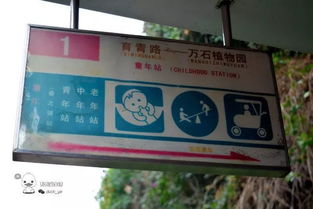 厦门公交车旅游攻略图片