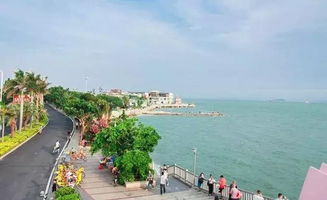厦门岛一天旅游攻略图