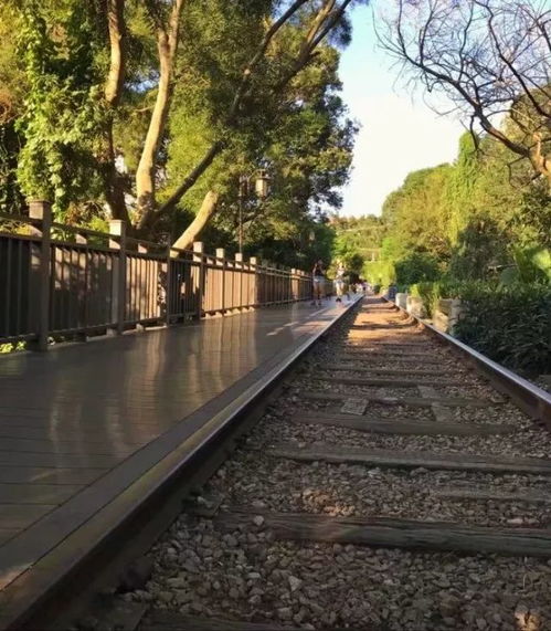 厦门秋景旅游攻略一日游