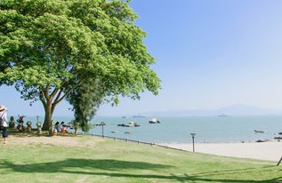 厦门旅游千年古树攻略图