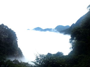 厦门踏春旅游攻略一日游