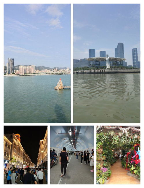 厦门旅游攻略人游三日游