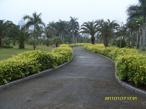植物园厦门攻略旅游一天