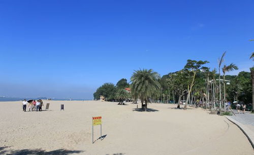 厦门一个人游旅游攻略