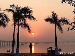 冬天厦门旅游攻略一个人