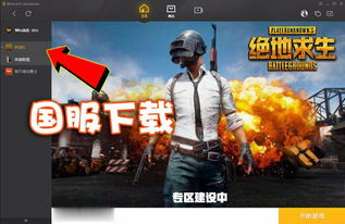 哪些国家不让玩游戏直播