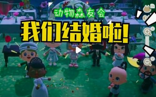 马里奥梦幻游戏攻略
