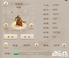 问道游戏金头陀攻略图
