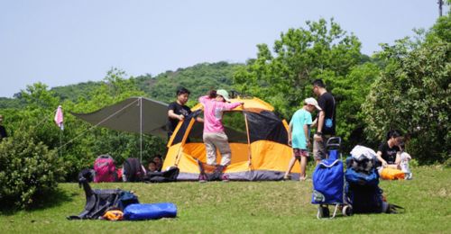 露营小分队旅游攻略游戏