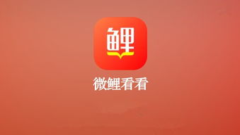 看广告才能赚钱吗