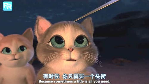 小猫很可爱游戏攻略教案