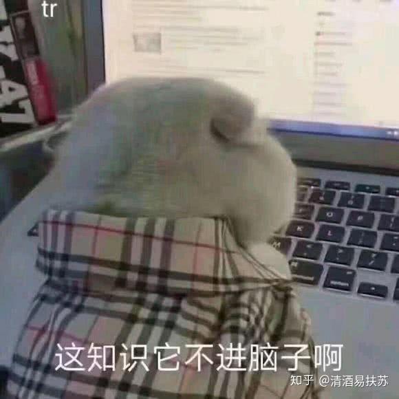 可以去学习的游戏有哪些