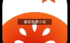 番茄小说看广告赚钱么