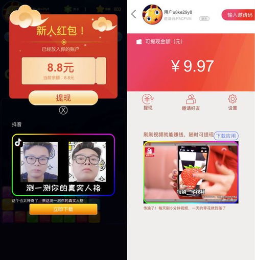 看广告赚钱真实案例大全