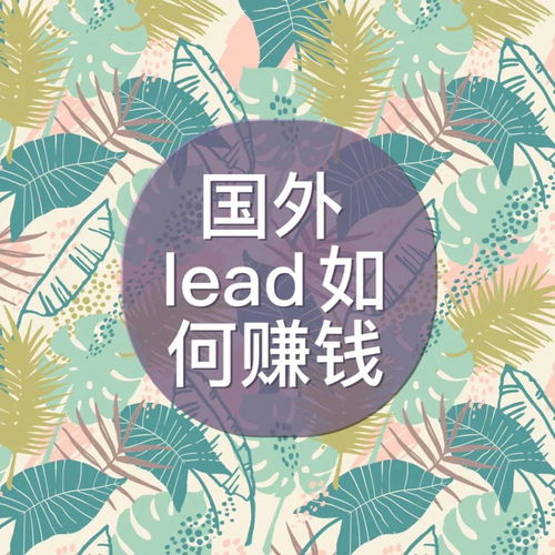 国外有看广告赚钱吗