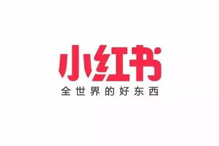 看广告小红书怎么赚钱