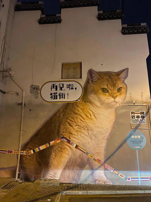猫街怎么看广告赚钱