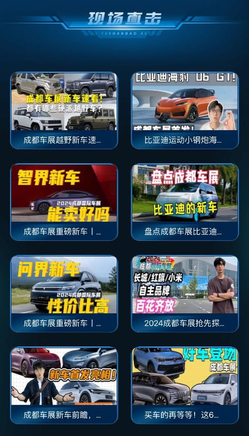 2024看广告赚钱不养机