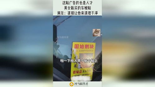 贴什么广告最赚钱女生看