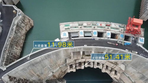 怎么操作老榕树看广告赚钱