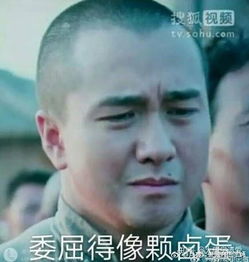 刷宝看广告赚钱是真的吗