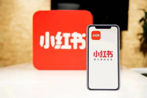 小红书上线一键翻译功能