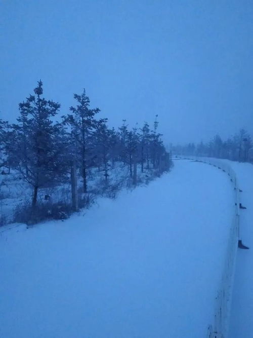 北京下雪