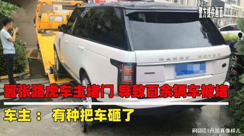 百辆汽车倒车镜被砸