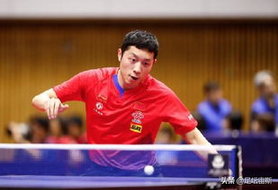 乒羽中心:谴责侮辱中国运动员言行