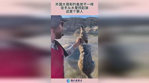 钓鱼佬甩杆救一个人
