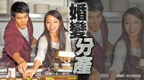 天价离婚案女方分走4.1亿
