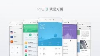 美的彻底清仓小米 背后有何玄机