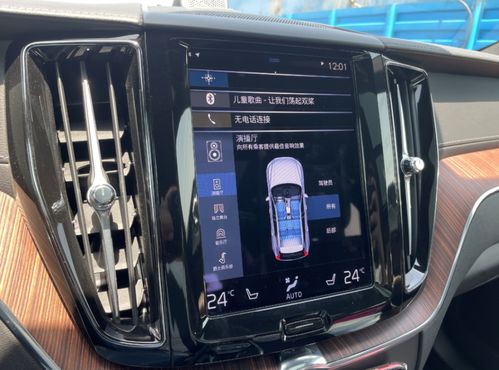 三只羊小杨臻选上线
