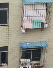 男孩贪玩翻24楼窗外