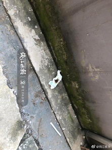 杭州一男孩27楼坠亡