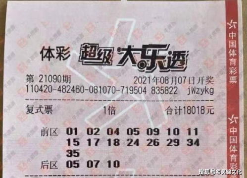 1960元买2张演唱会票竟是铁窗泪(买票梦碎，2023年演唱会的无奈与感悟)