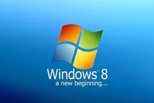 华为电脑windows怎么更新系统升级(华为电脑，开启Windows更新与升级的便捷之旅)