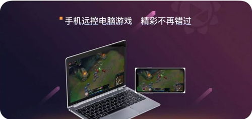 华为监控小海豚怎么电脑上查看(华为监控小海豚，轻松管理你的电脑与网络)