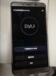 华为平板电脑重启密码忘了怎么办(华为平板电脑的重启密码忘记了吗?别担心!这有解决方法! 华为平板电脑重启密码忘了怎么办(华为平板电脑的重启密码忘记了吗?别担心!这有解决方法!