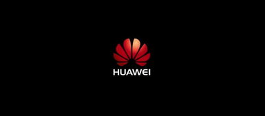 华为电脑背景图片怎么总变黑(揭秘！为什么我的华为电脑背景图片总是变得模糊、黑色？