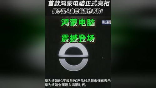 华为电脑代理商怎么样(开启科技新篇章—与华为电脑代理商共创无限可能)