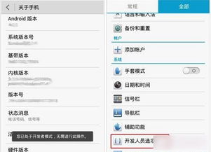 华为连接u盘推荐电脑怎么设置(体验新科技，驾驭未来，华为连接U盘的正确使用与电脑设置指南)
