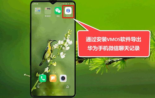华为手机怎么保存qq照片到电脑(如何利用华为手机高效管理QQ照片，让生活更便捷！